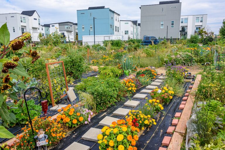 Photo Flower garden