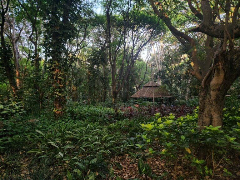 Photo Garden gazebo