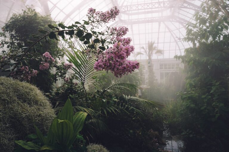 Photo Greenhouse frame