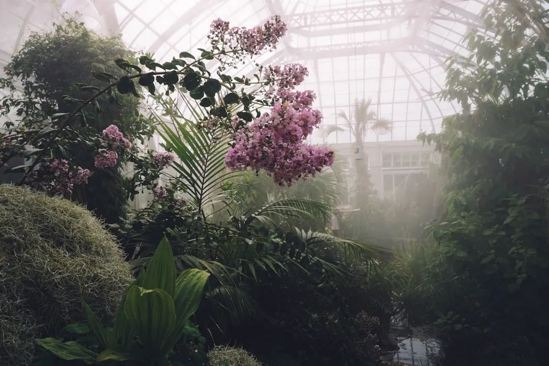 Photo Greenhouse frame
