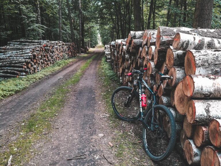 Photo Reclaimed Timber