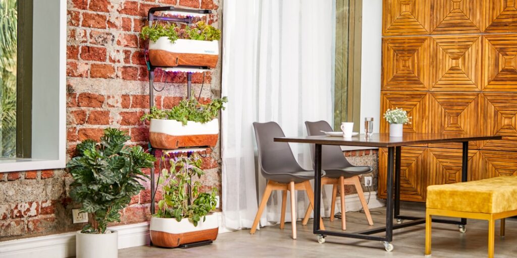 Photo Indoor garden