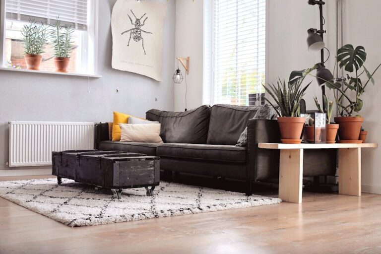 Photo "How to choose living room furniture that is comfortable and functional"