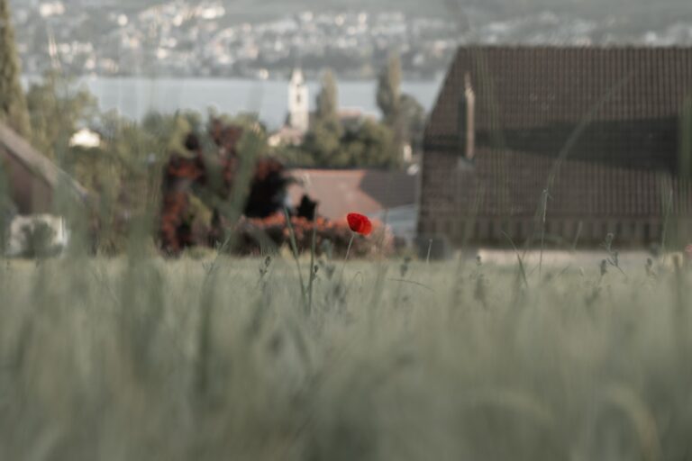 Photo verifici cadastru