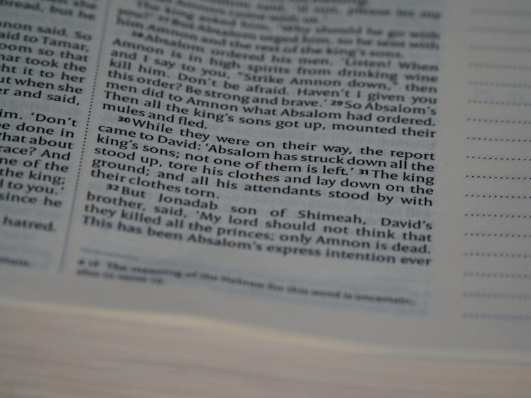 Photo acte pentru teren