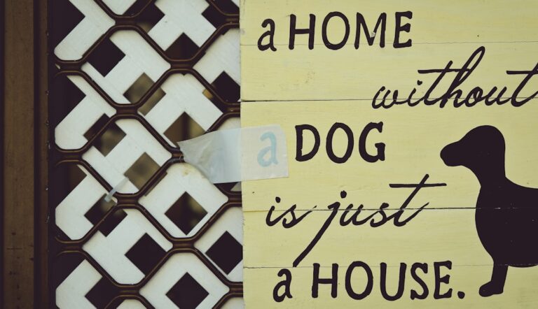 Photo house with space for pets