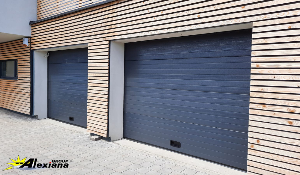 usi-de-garaj-moderne-negre-alexiana