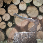 dolinex-lemne0101011