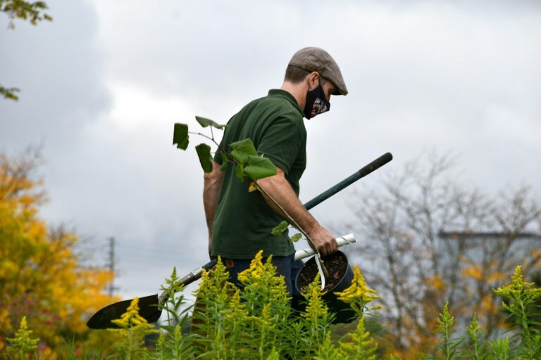 Photo gardening