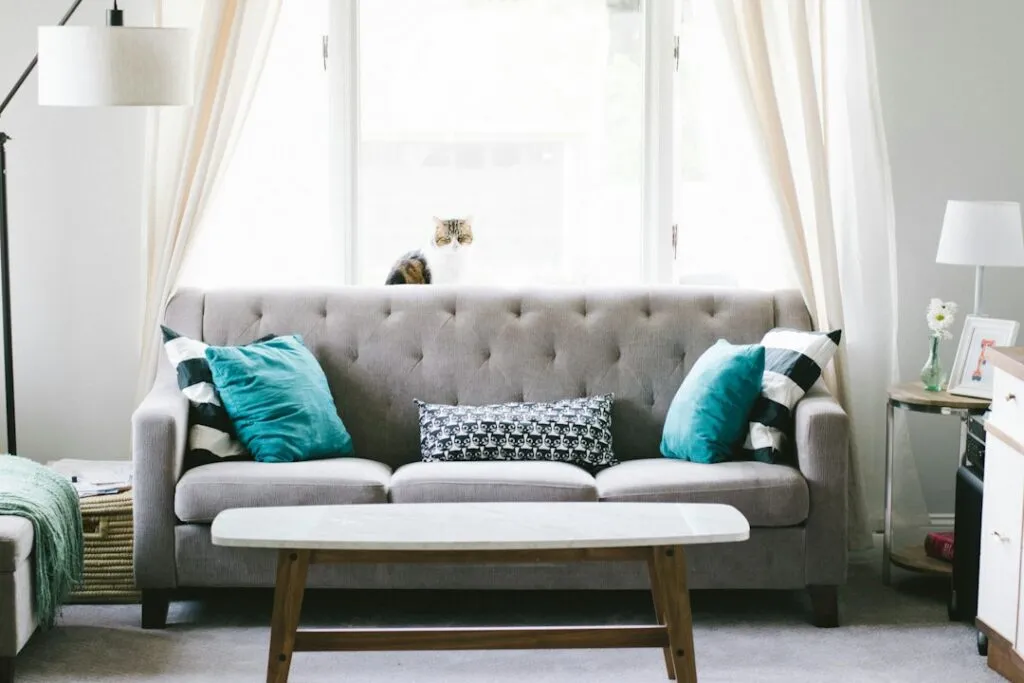 Photo furniture selection tips