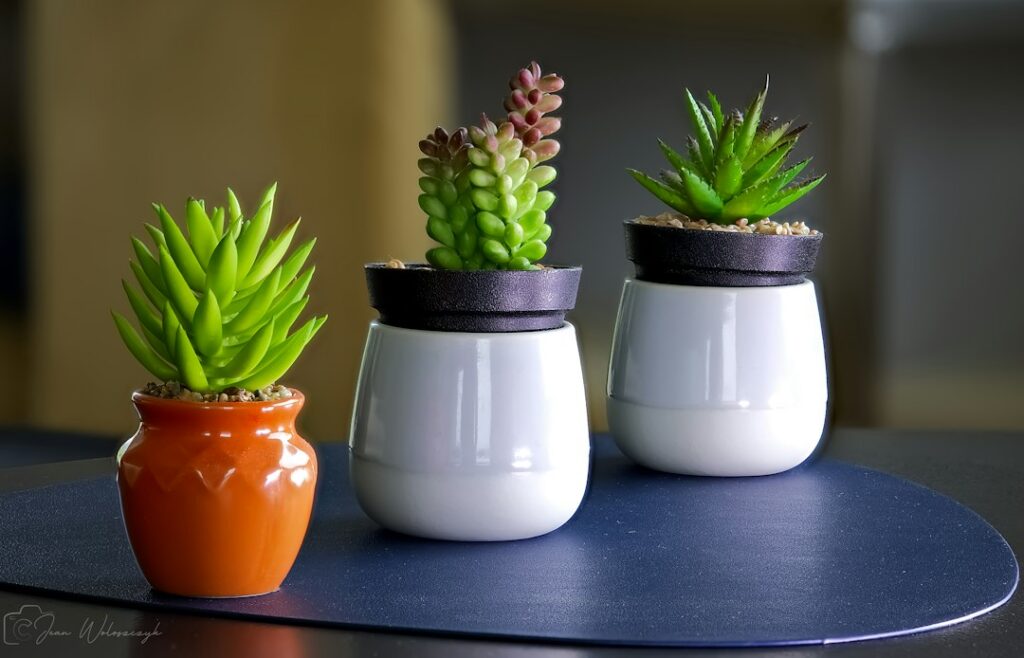 Photo creative upcycling home decor ideas
