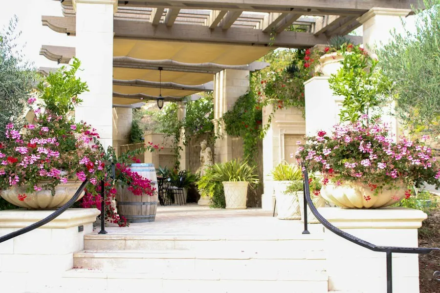 Photo garden and terrace ideas